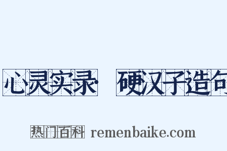 心灵实录·硬汉子造句是什么意思的图片